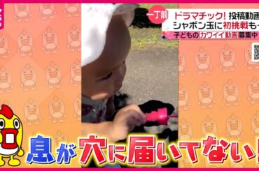 【投稿動画】構えだけは一丁前なんだけど…『every.特集』