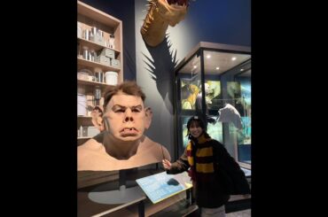 日向坂46 丹生明里 ハリーポッター の世界へ行ってきました♪ 大興奮！ #ワーナーブラザーズスタジオツアー