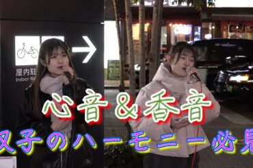 心音＆香音 双子姉妹のハーモニーは聞く人を魅了する。#アイビージャンクション