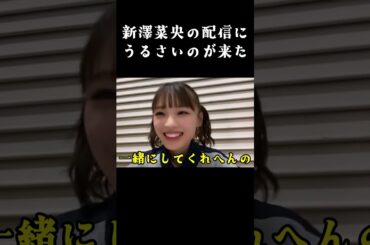 うるさいのがやって来た。最近○○にハマってる『しんしん』。『ゆいな』が来たから赤ちゃん泣き始めた。 2023年10月06日 【出口結菜/新澤菜央】【SHOWROOM/NMB/切り抜き】#shorts