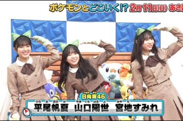 ポケモンとどこいく！？　2月11日OA予告