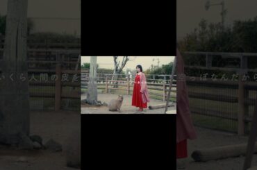 ドラマ「惑星サザーランドへようこそ」 #ドラマ #おすすめ #切り抜き #ショートドラマ #短編ドラマ #ショートフィルム #塩塚モエカ #羊文学 #河合優実 #小川紗良 #甲田まひる