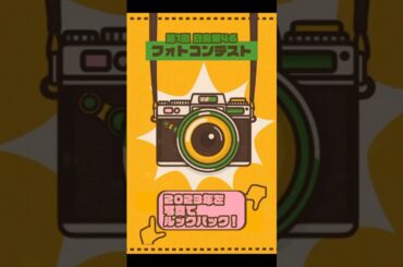 皆さんはどの写真がお気に入りですか？ #日向坂46 #日向坂で会いましょう