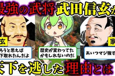 【総集編】武田信玄が天下を取れなかった理由とは？【ずんだもん歴史解説】【作業用】