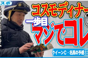 【クイーンＣ】コスモディナー松岡騎手が一歩目で感じた「一流馬のそれ」とは？