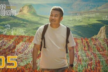 【我的美食向导】第5集：山西 | China Beyond Tastes | 腾讯视频 - 纪录片