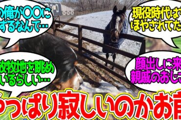 オジュウチョウサン ← 絶対王者もすっかりお茶目になってしまった…に対するみんなの反応！【競馬 の反応集】