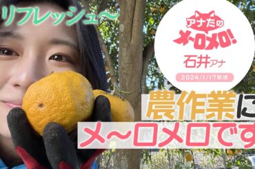 【石井祐里枝アナ】無心で体を動かしてリフレッシュ！実家で穫れた野菜や果物で元気いっぱい