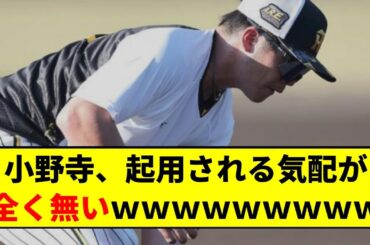【阪神】小野寺、起用される気配が全く無いwwwwww【2chスレ】