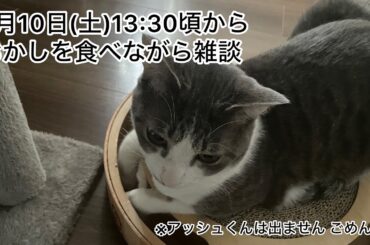 【第15回生配信】なにか食べながら雑談【佐々木琴子】