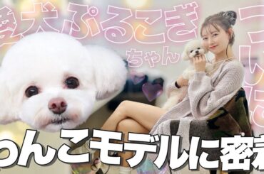 【みるきー】お仕事Vlog|ルームウェア|美人百花【渡辺美優紀】