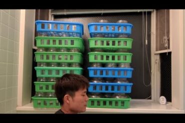 昨日洗ったはずなのにまだまだあるんだけど