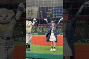 【TRAIN-TRAIN】向井葉月ちゃんのセレモニアルピッチみてきた🦁⚾️ 西武ライオンズ ┋THE BLUE HEARTS
