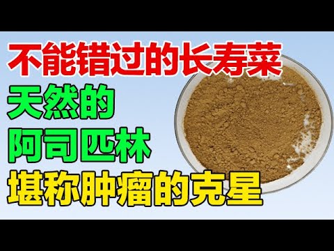 不能错过的长寿菜,天然的阿司匹林,堪称肿瘤的克星【养生有道】 不能错过的长寿菜,天然的阿司匹林,堪称肿瘤的克星【养生有道】