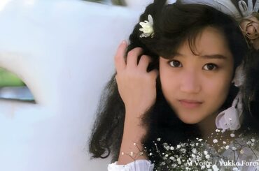 雪の華 ／ 岡田有希子（Yukiko Okada）／AI Voice Cover