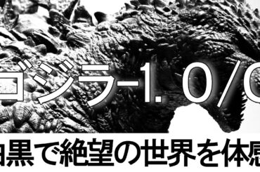 モノクロ版『ゴジラ-1.0/C』正直レビュー/カラーと何が違う？見る価値は？いい点悪い点を徹底解説 【ネタバレ注意】 【ゴジラマイナスワン マイナスカラー】GODZILLA-1.0