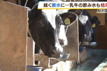 断水続く牧場「牛がずっと水をくれと鳴く」牛乳の質も悪くなり廃棄に…1日50トン必要（2024年1月11日）