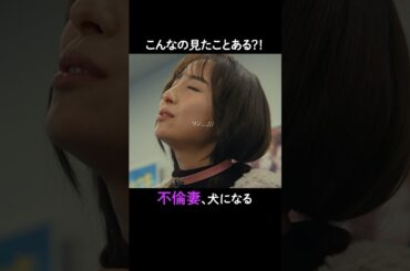 夫が可哀想すぎる…離婚しない男 ーサレ夫と悪嫁の騙し愛ー第1~2話はABEMAで無料配信中💋 #離婚しない男 #篠田麻里子 #小池徹平 #鈴木おさむ#ドラマ #不倫 #浮気 #サレ #サレ夫