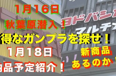 【ガンプラ再販】ストライクフリーダムルージュあるのか！ガンダムベース東京お休みの為2024年1月16日秋葉原に潜入！ヨドバシAkiba、ビックカメラAKIBA、コトブキヤ秋葉原館など回ってきたよ！