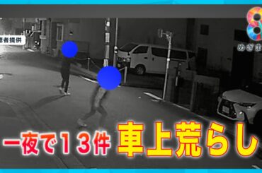 【追跡】横浜で“車上荒らし”一夜で13件犯行の瞬間 犯人は逃走…狙いは？【めざまし８ニュース】