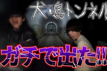 【心霊】犬鳴トンネル行ったらガチで出た！