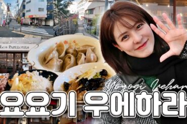 [SUB] 일본 현지인 핫플📍 요요기 우에하라 | 안다교자, Minimal, 하치만구 신사