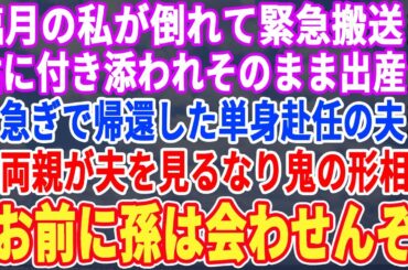 【スカッと☆厳選5本総集編】臨月の私が倒れて緊急搬送、そのまま出産→単身赴任中で急いで帰ってきた夫に私の両親「お前は孫に会わせない」夫「え？」→実は…【修羅場】