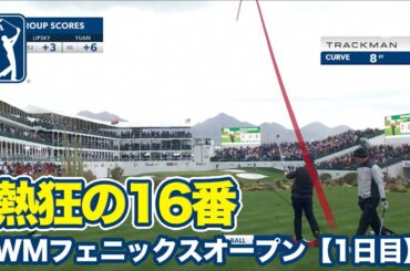 松山英樹がチップイン2発＆約12mのロングパットを決める！悪天候でも16番スタジアムホールは大騒ぎ【WMフェニックスオープン1日目】【PGAツアー】【ゴルフ】