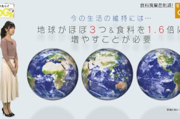 知りたい！SDGs #2 |2019年10月10日放送