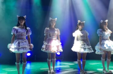 2024.2.3 わーすた「いぬねこ。青春真っ盛り -2022 ver.-」@神戸・甲陽音楽＆ダンス専門学校