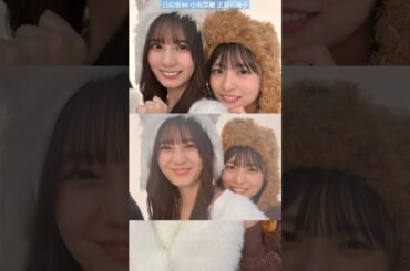 日向坂46 小坂菜緒 正源司陽子 こさかなに甘えるしょげちゃん♪ デビュー5周年記念公式ブック《 #H46MODE vol.1 》3月19日発売