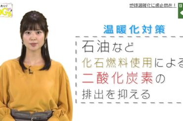 知りたい！SDGs #7 |2019年11月14日放送