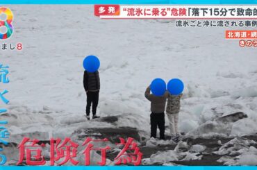 【危険】オホーツク“流氷に乗る”学生に遭遇なぜ！？ 落下15分で致命的に…【めざまし８ニュース】