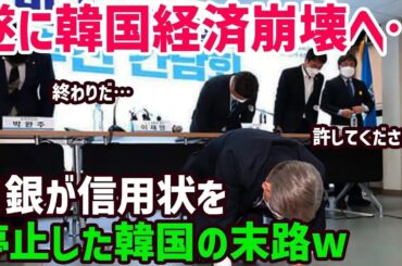 【海外の反応】韓国「日本なら助けてくれるよね…」日本が韓国への信用状を発行しないと大英断！→日本の報復措置に恐怖する！！【総集編】