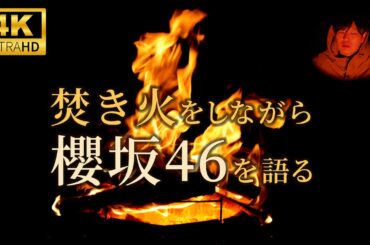 【 焚き火をしながら櫻坂46を語る 】 睡眠導入 作業用  通学用  通勤用 ｜ 4K