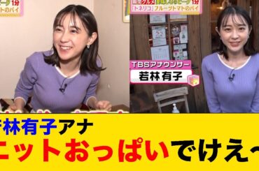 若林有子アナ、ニットおっぱいでけえ～ビデオに撮っておけばよかった
