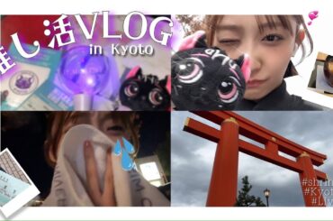 【推し活】大好きなあの方のLIVEに！ひとり京都旅🥰🚄【-PEARL LOVE-】