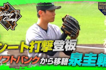 【春季キャンプ】ソフトバンクから移籍"泉圭輔"シート打撃【巨人】