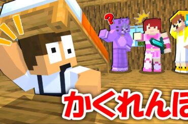 【かくれんぼ】家の中に秘密の地下を作って隠れた結果www