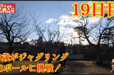 43歳がジャグリング8ボールに挑戦！19日目 トランペット演奏と久美子ベンチもどうぞ！
