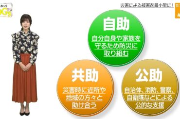 知りたい！SDGs #20 |2020年2月13日放送