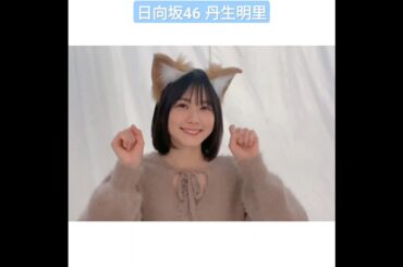 日向坂46 丹生明里 ゆず？ふく？ 柴犬 大きなおみみがかわいい♪ #H46MODE vol.1 3月19日発売