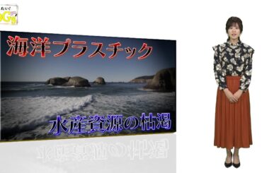 知りたい！SDGs #19 |2020年2月6日放送