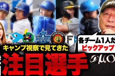 【春季キャンプ】『今年覚醒の予感がする』沖縄キャンプで実際に見た各球団の注目選手は…⁉︎【中日】【ヤクルト】【横浜DeNA】【日本ハム】【阪神】