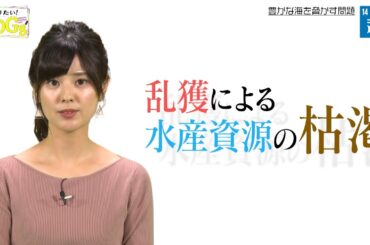 知りたい！SDGs #4 |2019年10月24日放送