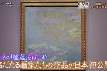 夜バゲット2月17日放送から、現在開催中の『印象派 モネからアメリカへ ウスター美術館所蔵』をピックアップ配信！展覧会場をリポート！