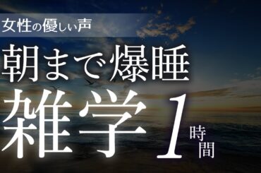 【睡眠導入】朝まで爆睡雑学1時間【女性朗読】