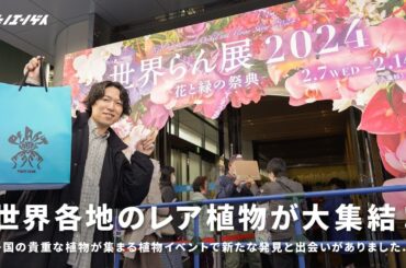 世界中のレア植物が大集結！まだまだ知らない魅力的な植物との遭遇。｜世界らん展2024｜アロイド｜アンスリウム｜orchid｜rareplant