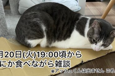 【第16回生配信】なにか食べながら雑談【佐々木琴子】
