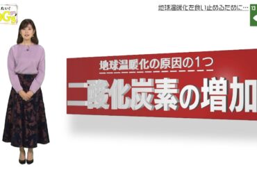 知りたい！SDGs #25 |2020年3月19日放送